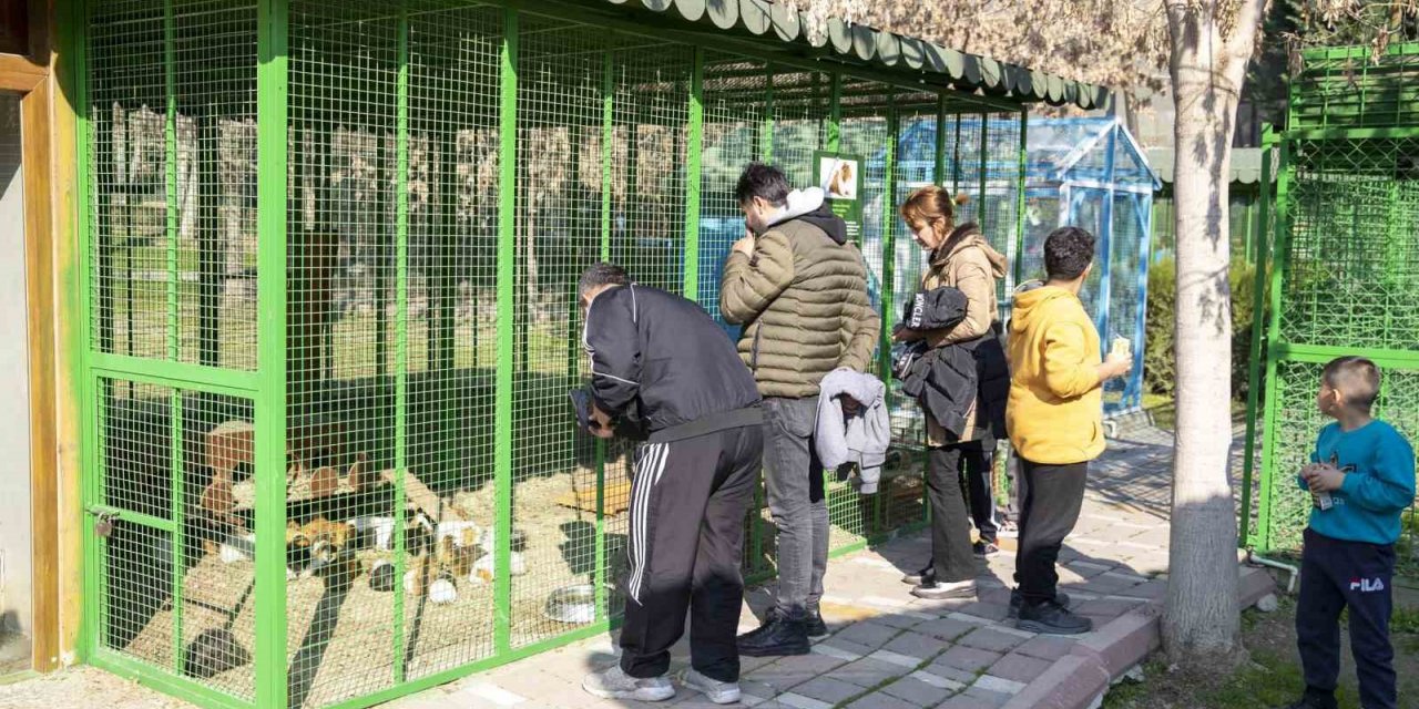 Yarıyıl tatilinde Tarsus Doğa Parkı’na yoğun ilgi