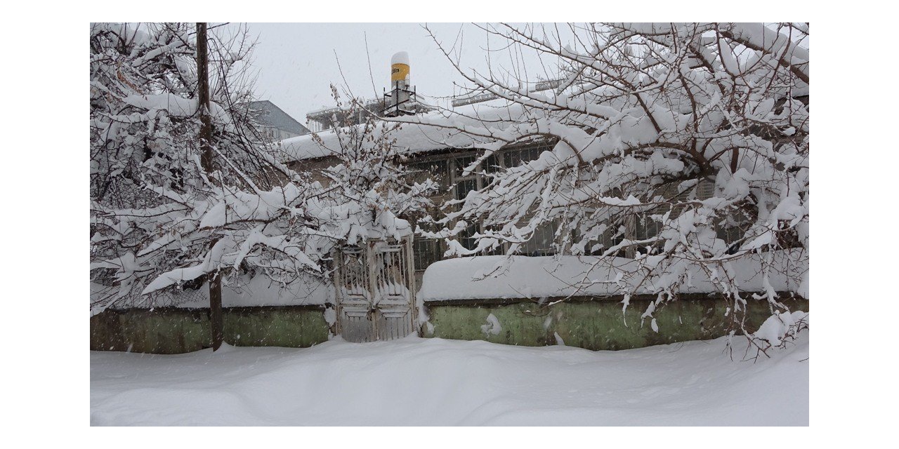 Bitlis’te tek katlı evler ve arabalar kara gömüldü