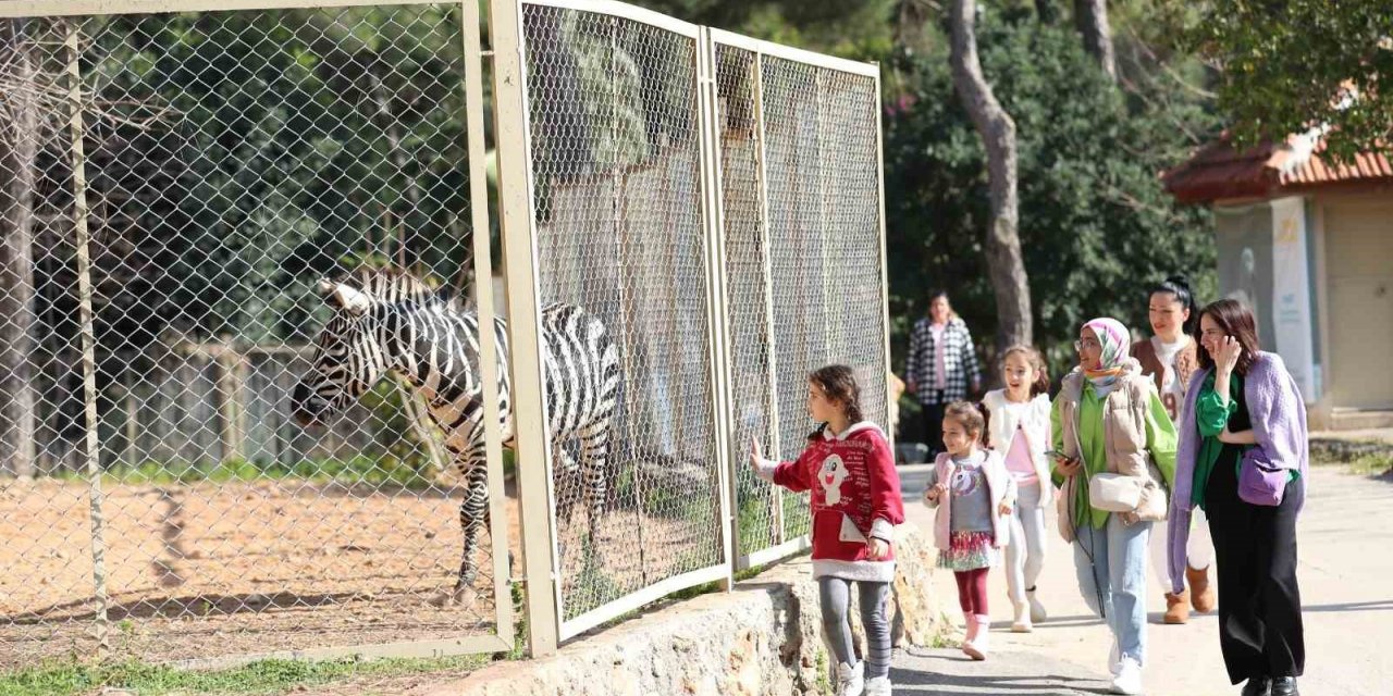 127 türde hayvana ev sahipliğini yapan yaşam parkına yoğun ilgi