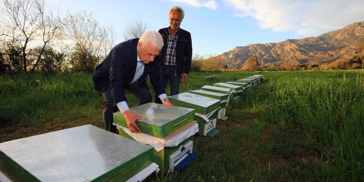 Muğlalı bal üreticisine Büyükşehir’den destek