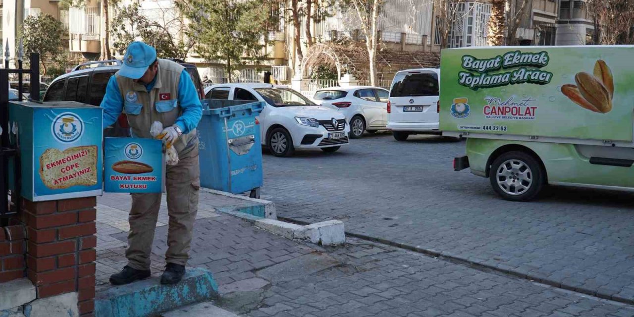 Şanlıurfa’da günlük yarım tonluk ekmek israfı önleniyor