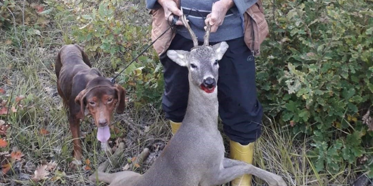 Karacayı avlayan şahsa 15 bin TL ceza