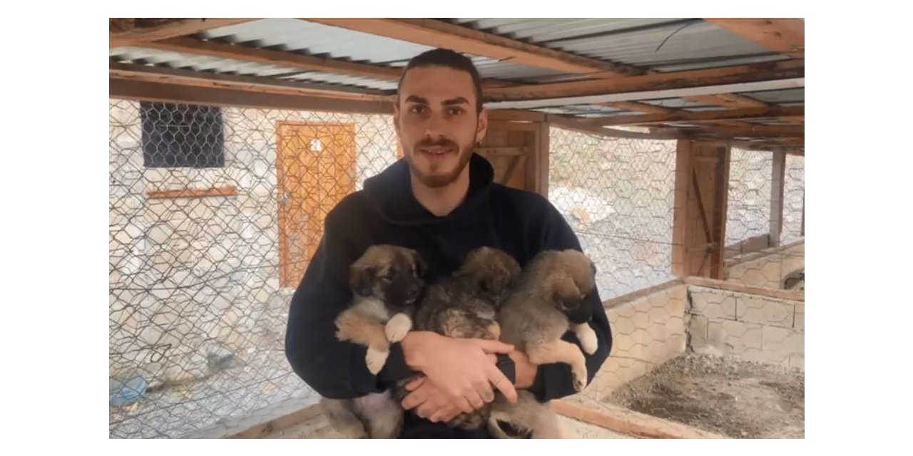 Yıkılan beton bloklarda mahsur kalan yavru köpekler, iş makinesi yardımıyla kurtarıldı