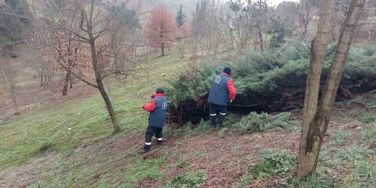 Düzce’yi park ve bahçeler güzelleştiriyor