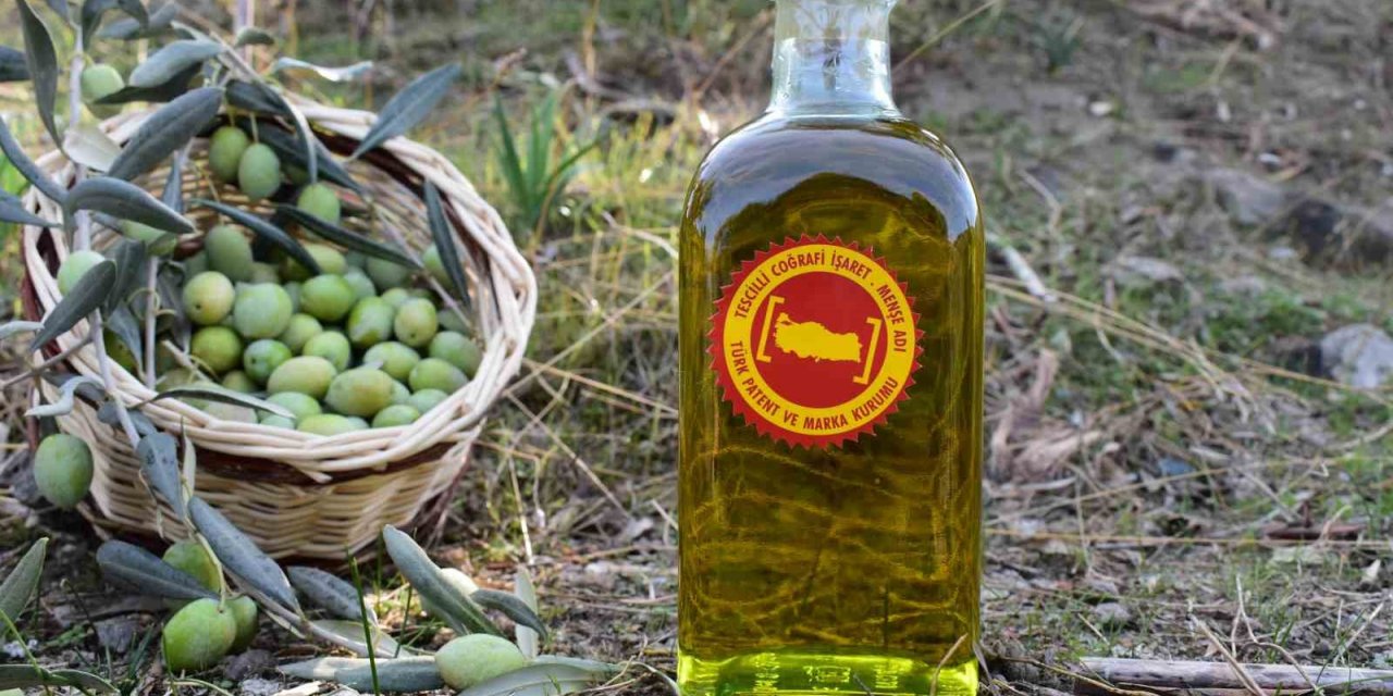 Aydın Ticaret Borsası, Coğrafi İşaret Tescilli Aydın Memecik Zeytinyağını Gaziantep’te tanıtacak