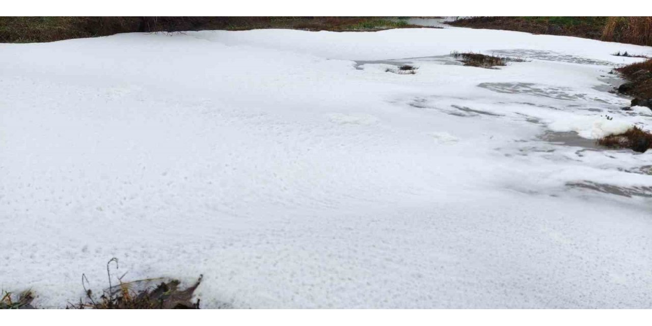 Uluabat Gölü’ne akan derelerde "beyaz köpük” paniği