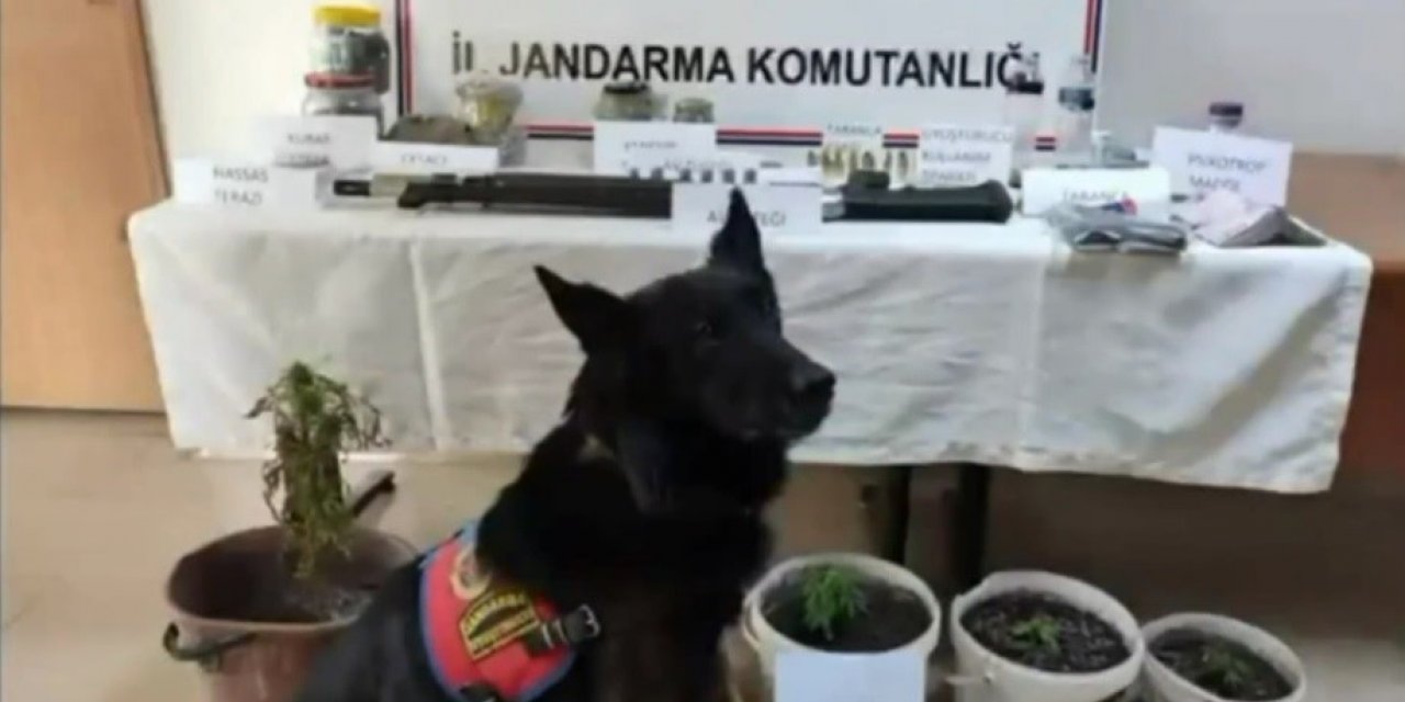 Jandarmadan uyuşturucu operasyonu, 4 şüpheli yakalandı