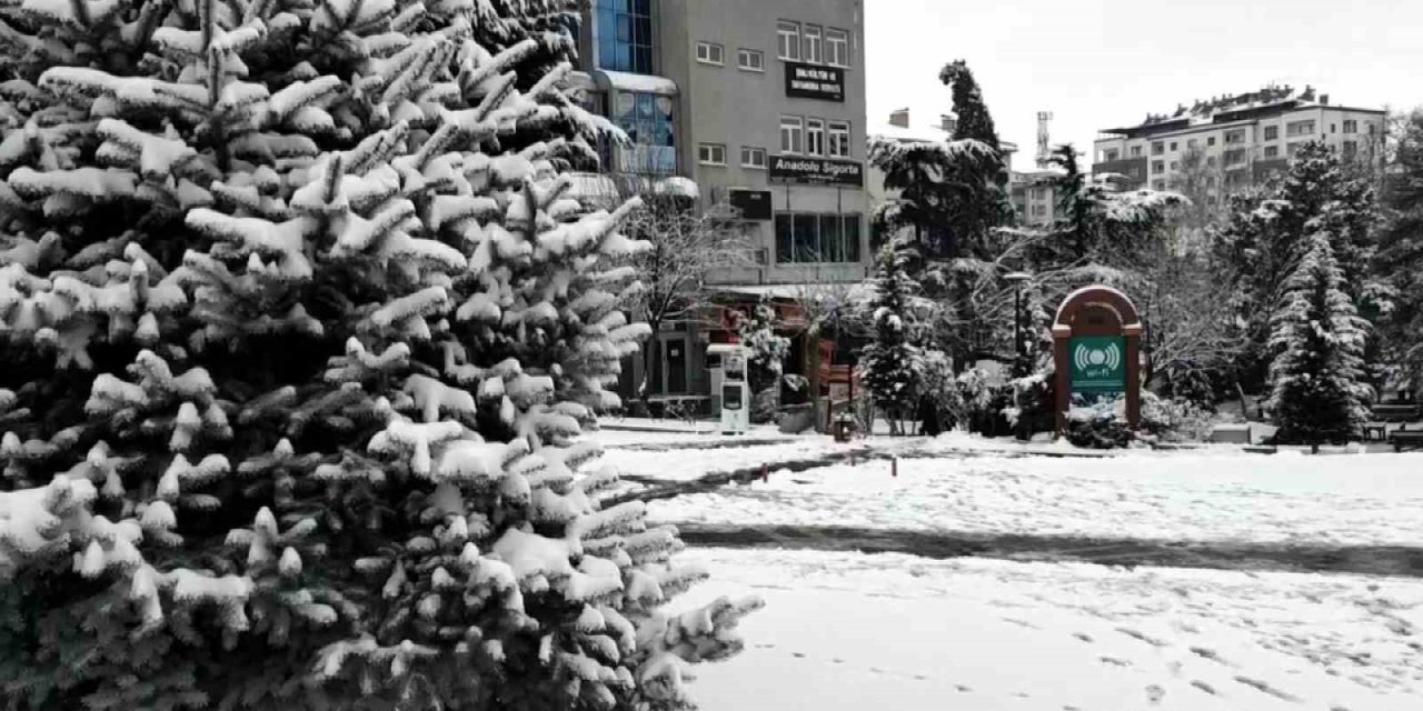 Develi beyaza büründü