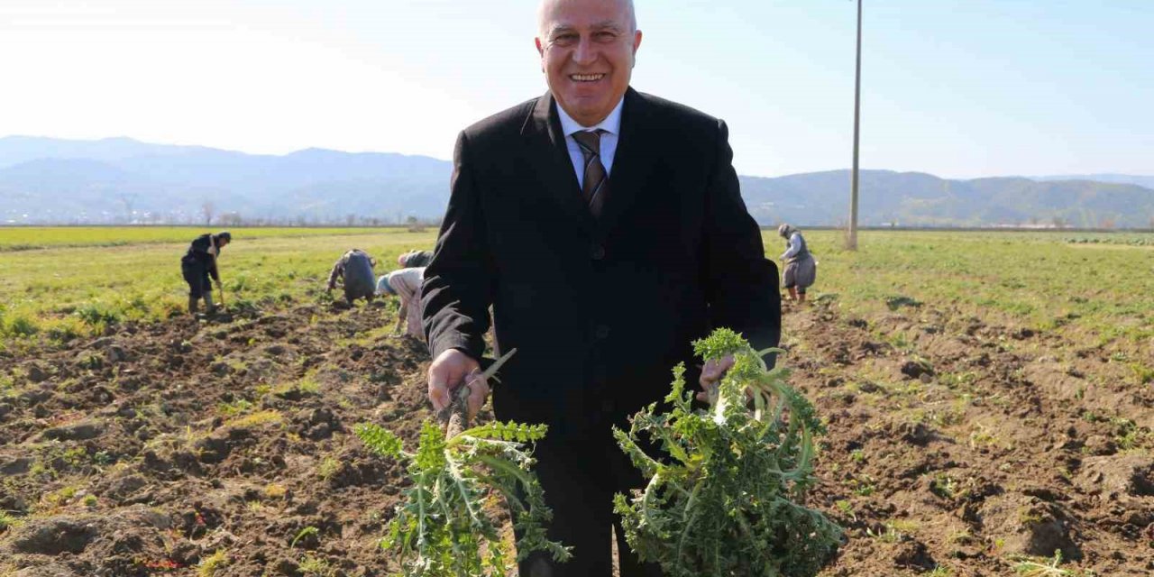 Başkan Atay, Efeler’de tarıma değer katıyor