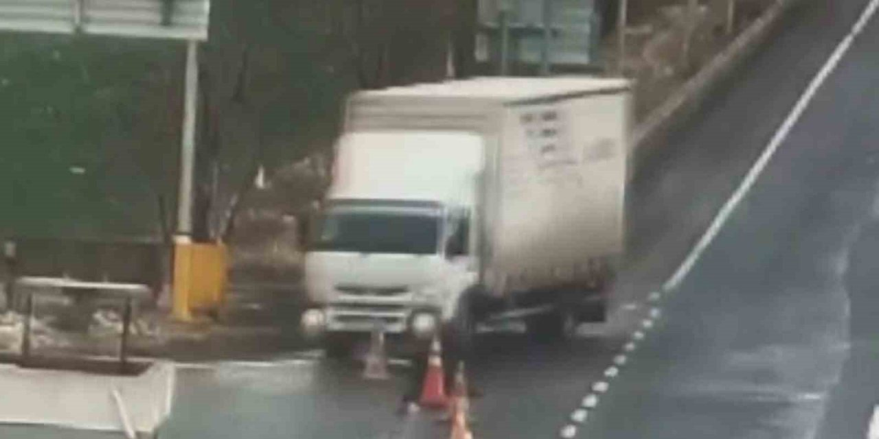 Otobüsün camına çarpan şahini duyarlı sürücü kurtardı, o anlar kamerada