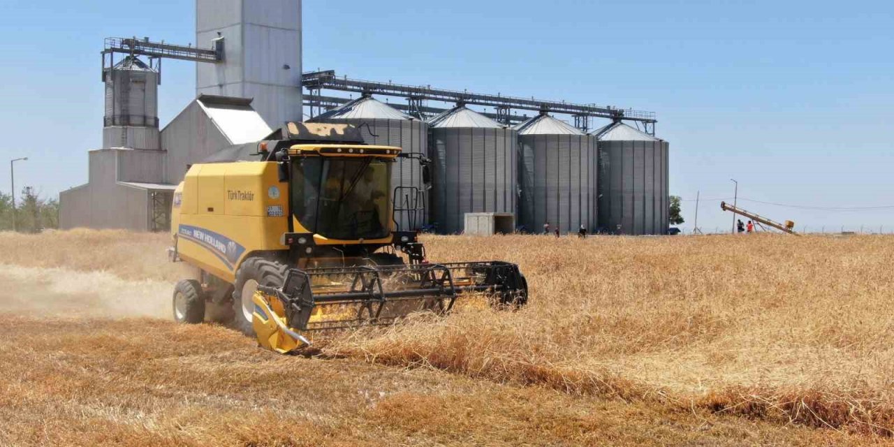 Aydın İl Tarım ve Orman Müdürlüğü’nden ’ÇKS ürün güncelleme’ uyarısı