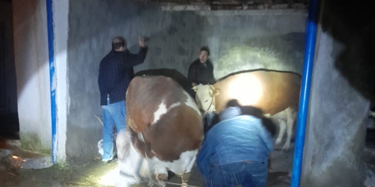 Yağışlara dayanamayan ev ve ahır çöktü