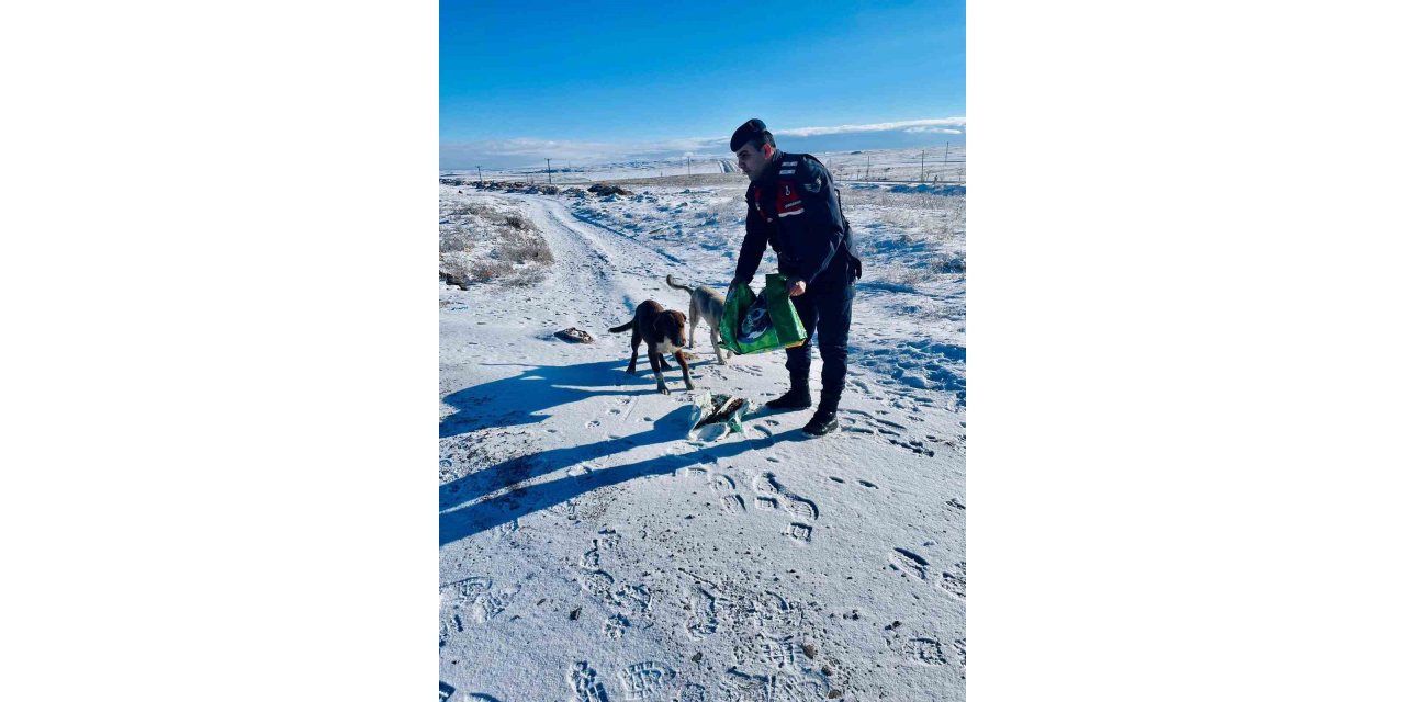 Jandarma, can dostlarını unutmadı