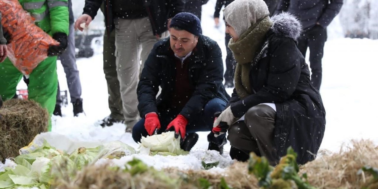 Yem bulmakta zorlanan yaban hayvanlarına yem bıraktılar