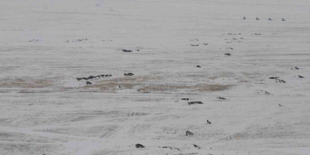 MSB’den Cumhuriyet tarihinin en kapsamlı kış tatbikatı: “Kış Tatbikatı-2023”