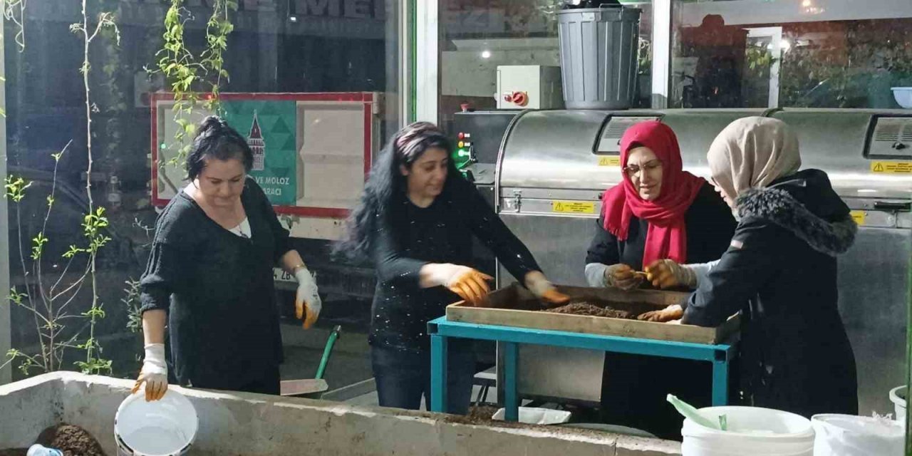 BESMEK’ten “Kültür Solucanı Yetiştiriciliği” kursu