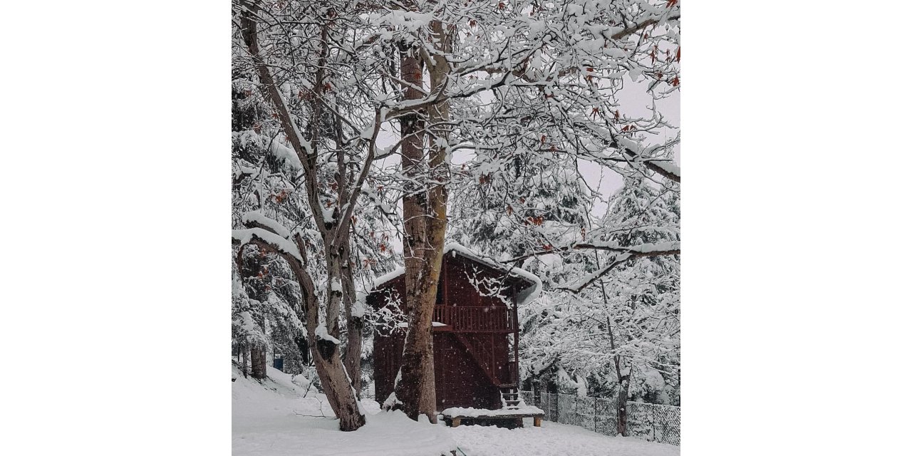 Orman beyaz gelinliği ile mest etti