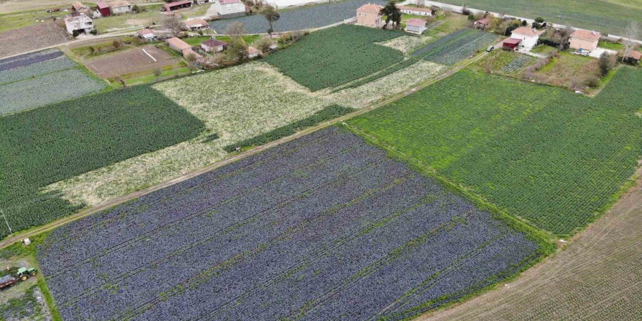 Türkiye’deki 440 ova özel koruma kalkanında