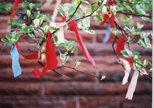 Batıl inanca ayetle uyarı