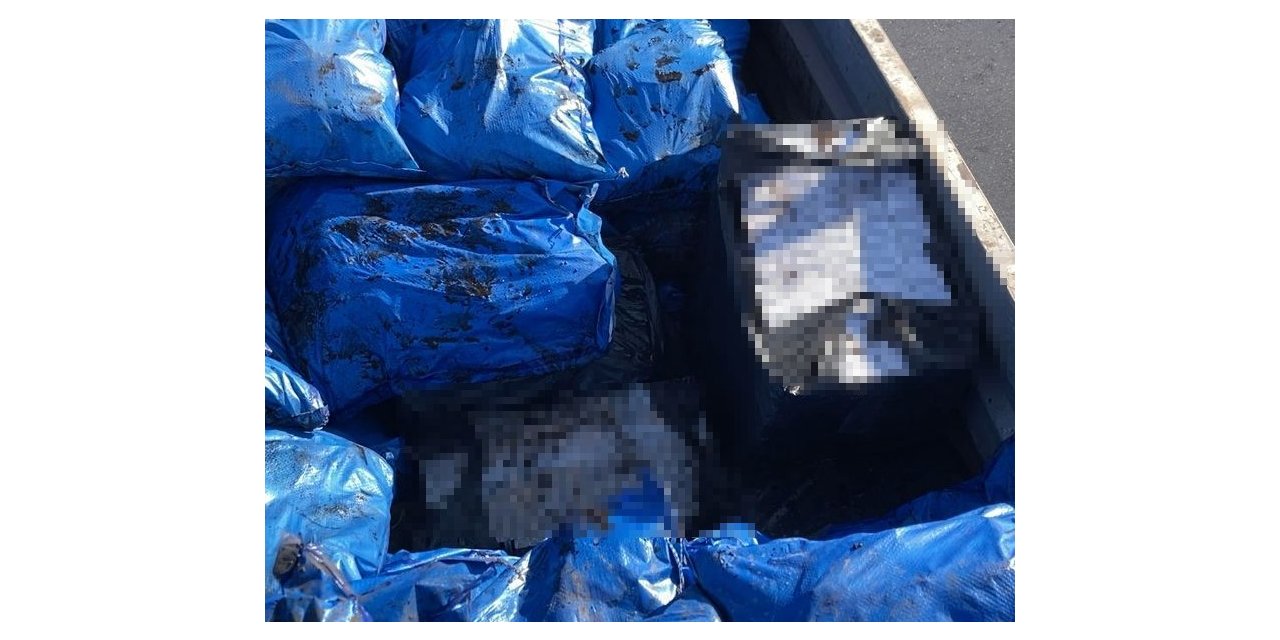 Tırdaki kömür torbalarının arasından çıktı: Elektroniği bile var