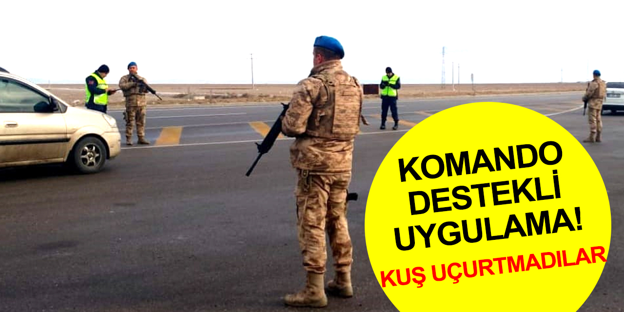 Aksaray'ı Konya, Ankara, Nevşehir ve Adana'ya bağlayan yollarda komando destekli denetim! 454 şahıs yakalandı