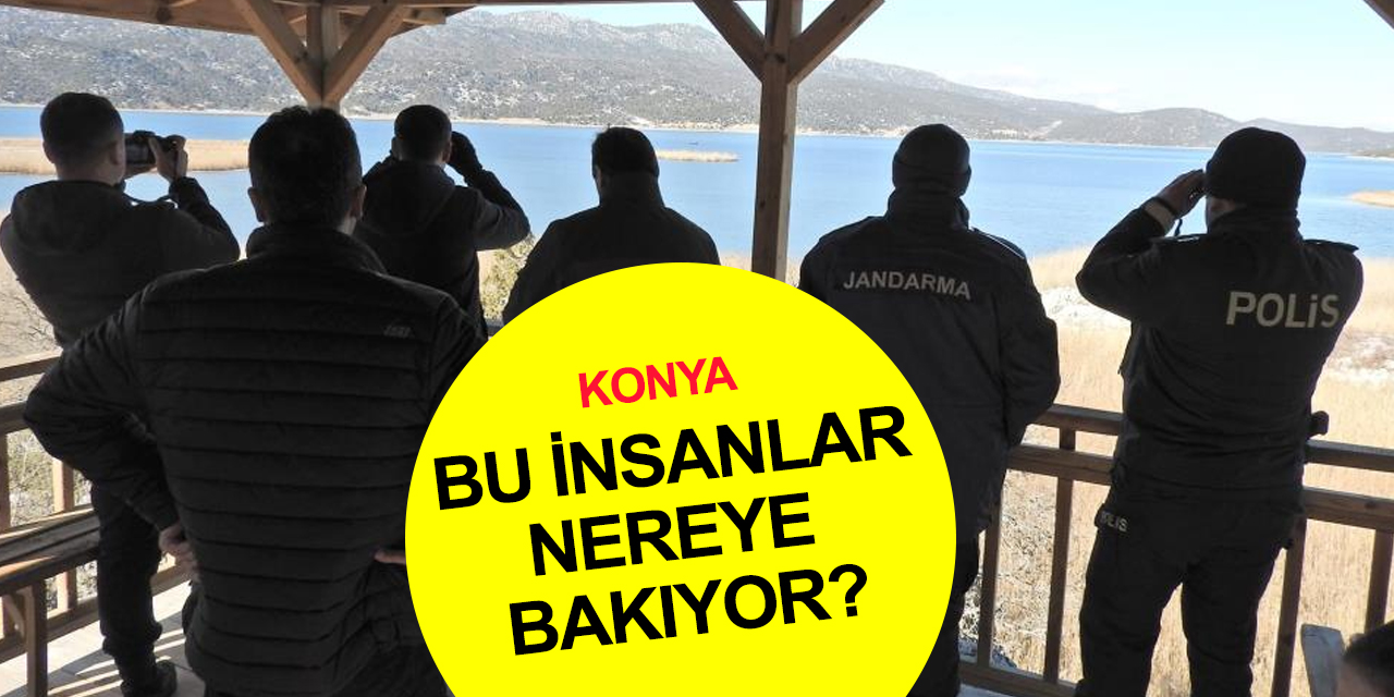 Konya'da Sulak Alanlar Günü Beyşehir buluşması!