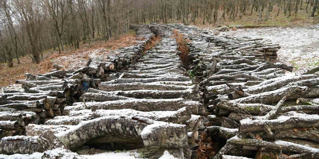 Lapseki’de kar yağışı