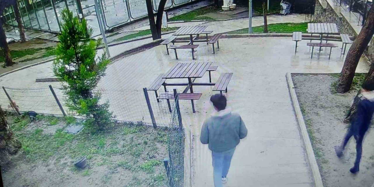 Bursa’da parktaki kedi kulübelerini yakıp, çöp kutularına zarar verdiler