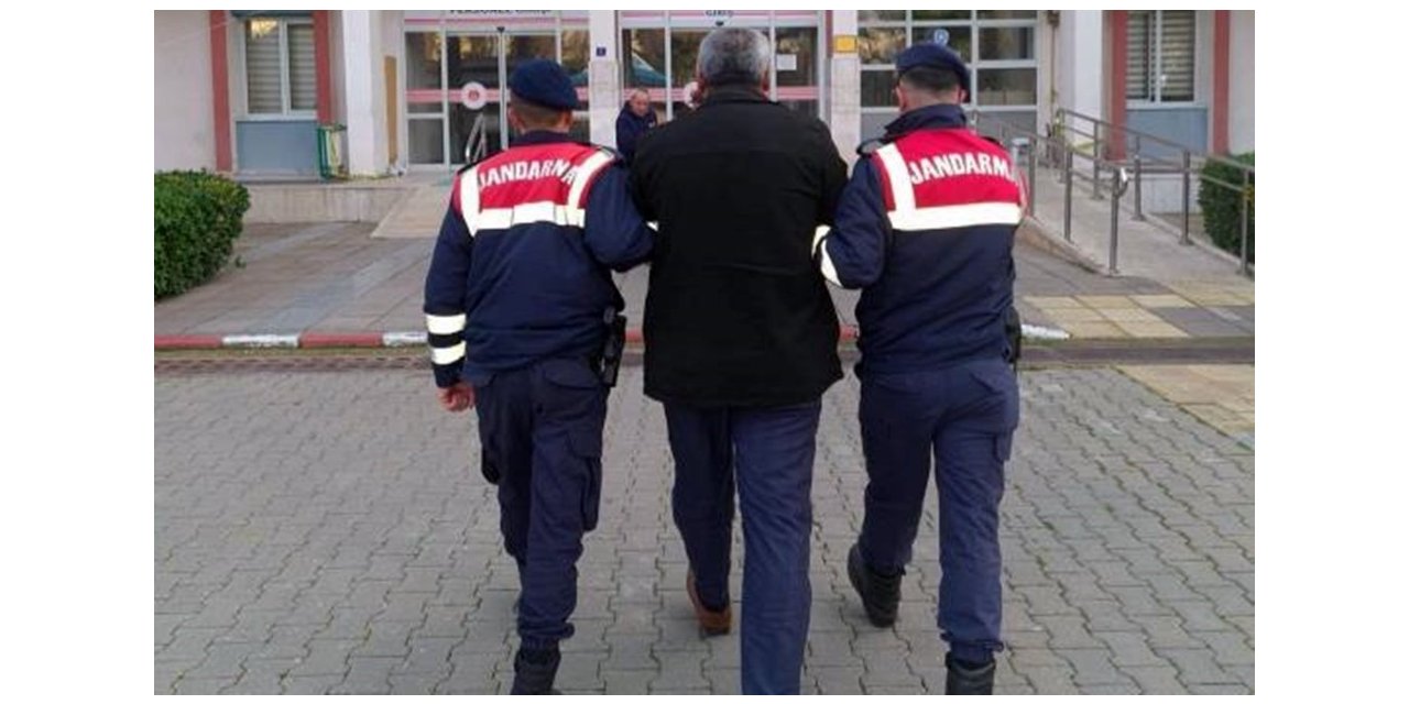 Zeytin hırsızı jandarmadan kaçamadı