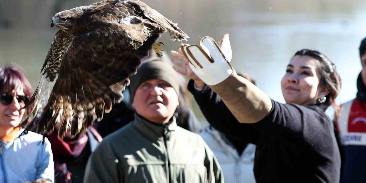 Dünya Sulak Alan Günü’nde iki şahin doğaya bırakıldı