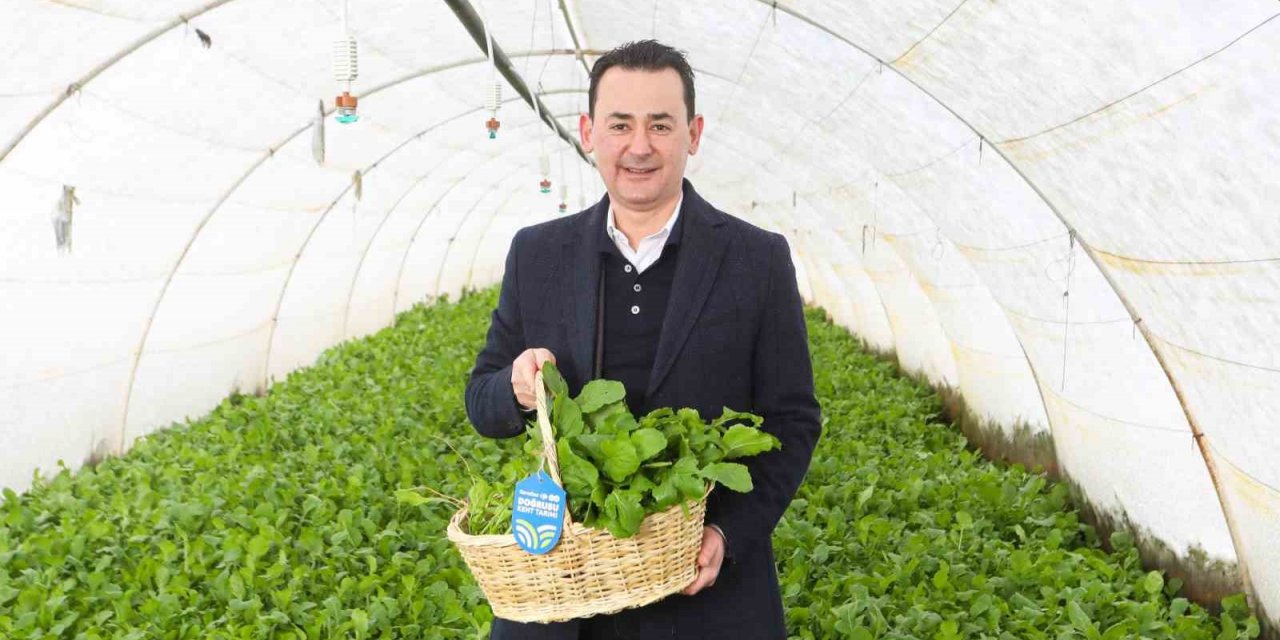 CarrefourSA’dan “Kent Tarımı” seferberliği