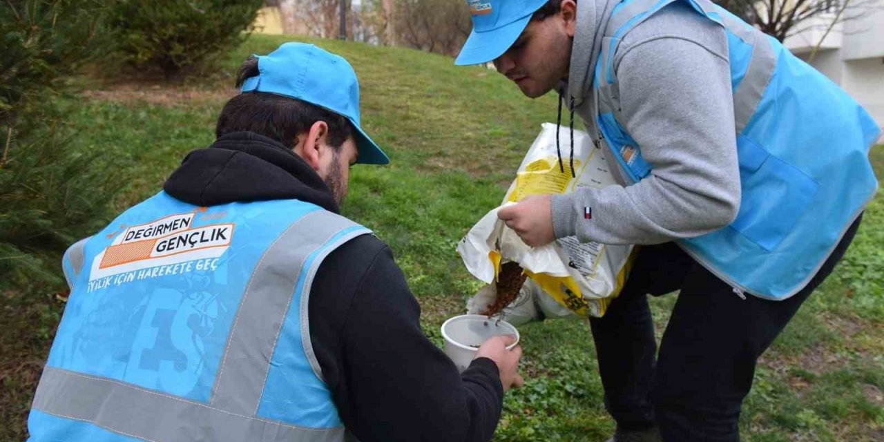 Can dostlarına ‘Yıldırım’ şefkat