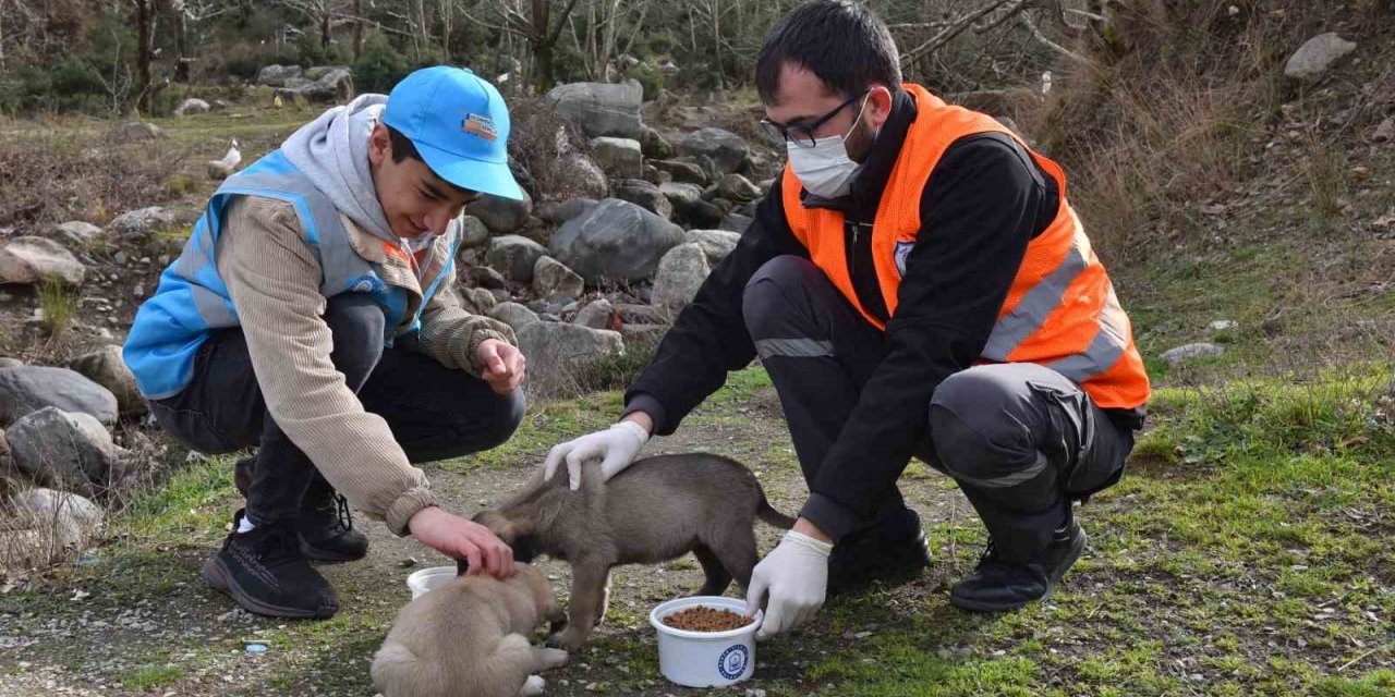 Can dostlarına "Yıldırım" şefkati