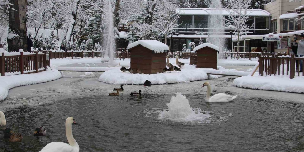 Kuğulu Park’ta kar coşkusu