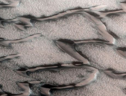 Mars'ta yaşam izi bulundu!