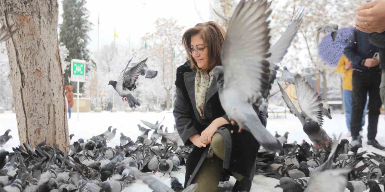 Şahin sokak hayvanlarını besledi