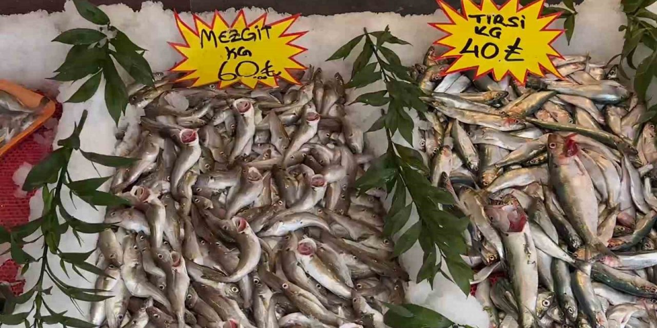 Sıcak havalar balıkçı tezgahlarını da etkiledi