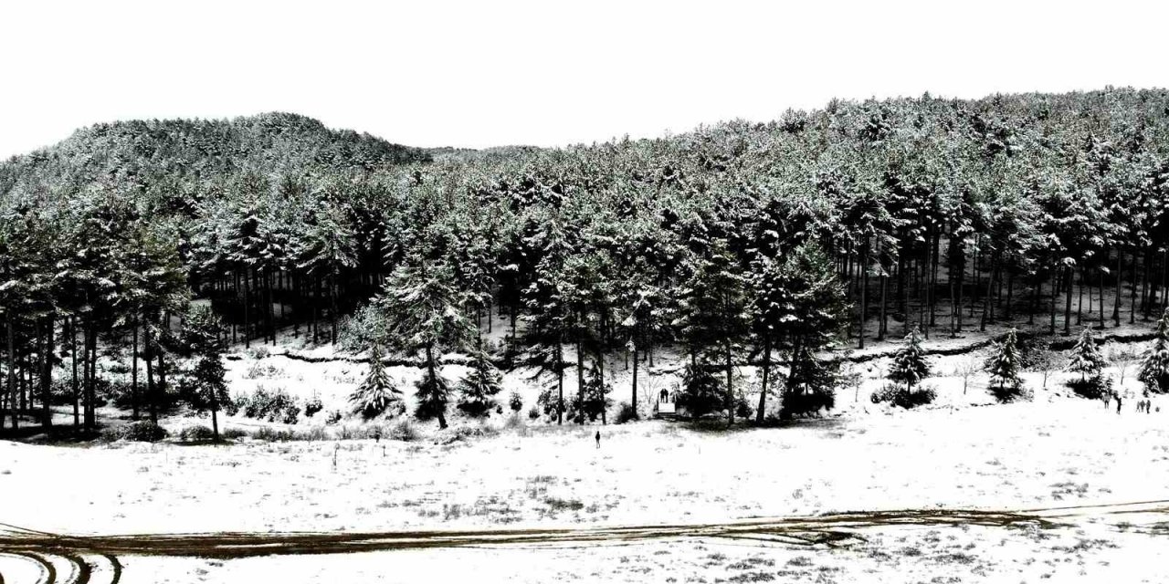 Kavaklıdere’de kar nedeniyle okullar tatil edildi