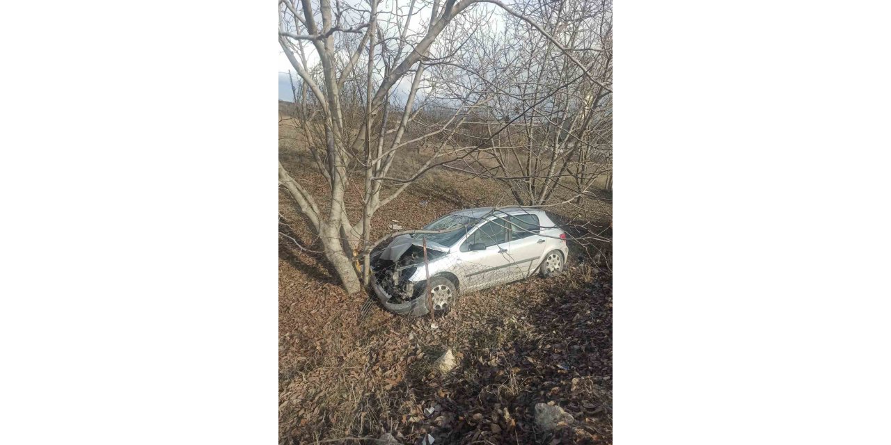 Otomobil ceviz ağacına çarptı: 2 yaralı
