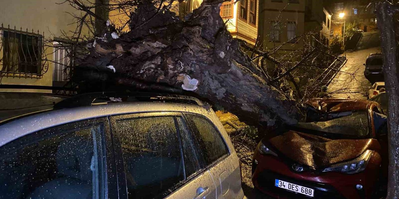 Üsküdar’da yarım asırlık akasya ağacı 2 otomobilin üzerine devrildi