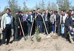 Ereğli Belediyesinden, bin 500 fidan