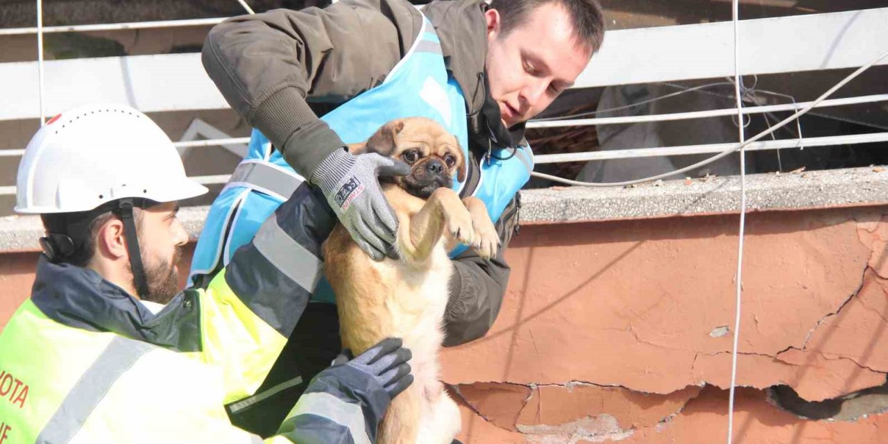 6 katlı bina enkazından sağ çıktı, depremzede kadın sahiplendi