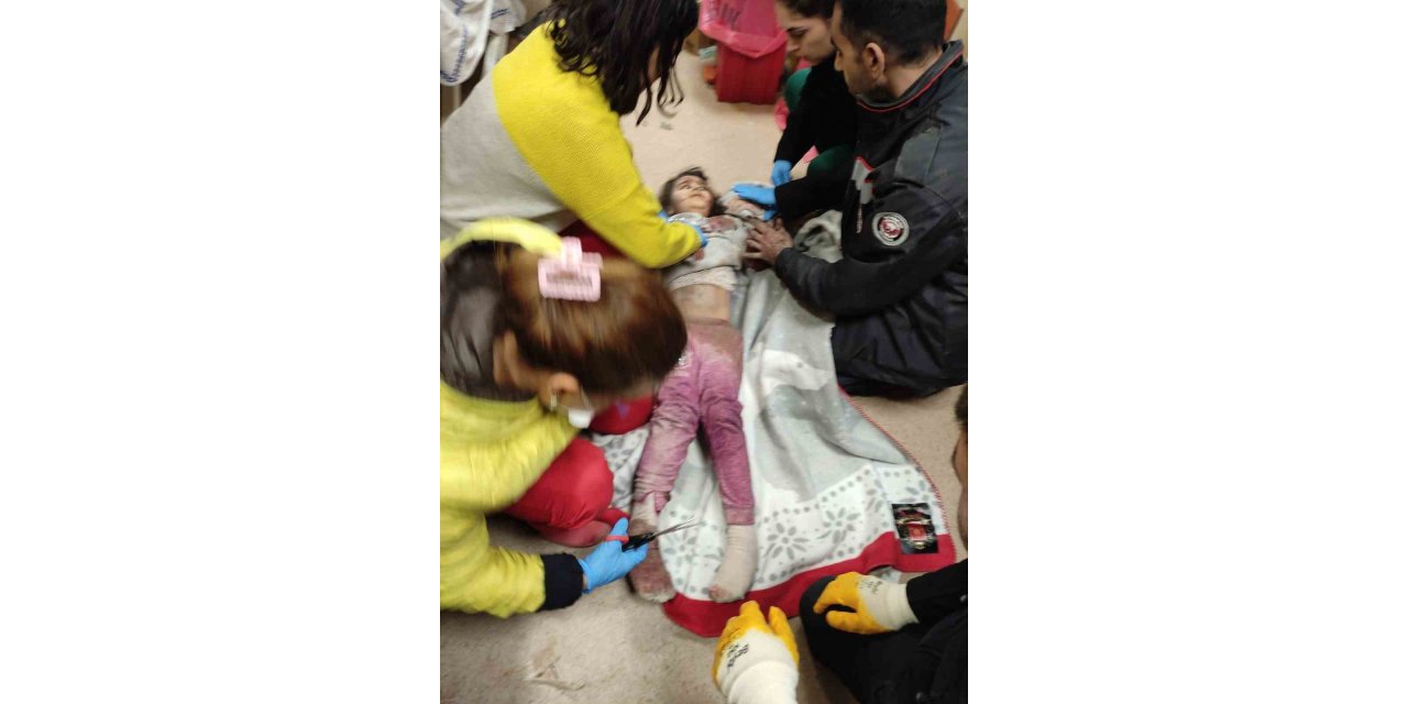 Küçük Lamia, umutları yeşertti