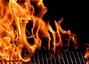 Mangallar çıktı, uzmanlar uyardı