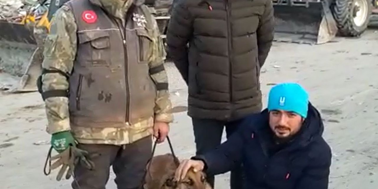 Hayat kurtarırken yaralanan hassas burun ’Sıla’ tekrar görev başında