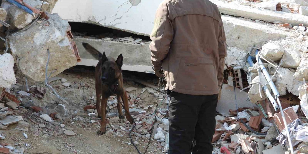 Hasta olmasına rağmen "Tetik" hassas burnu ile 33 kişinin kurtarılmasını sağladı