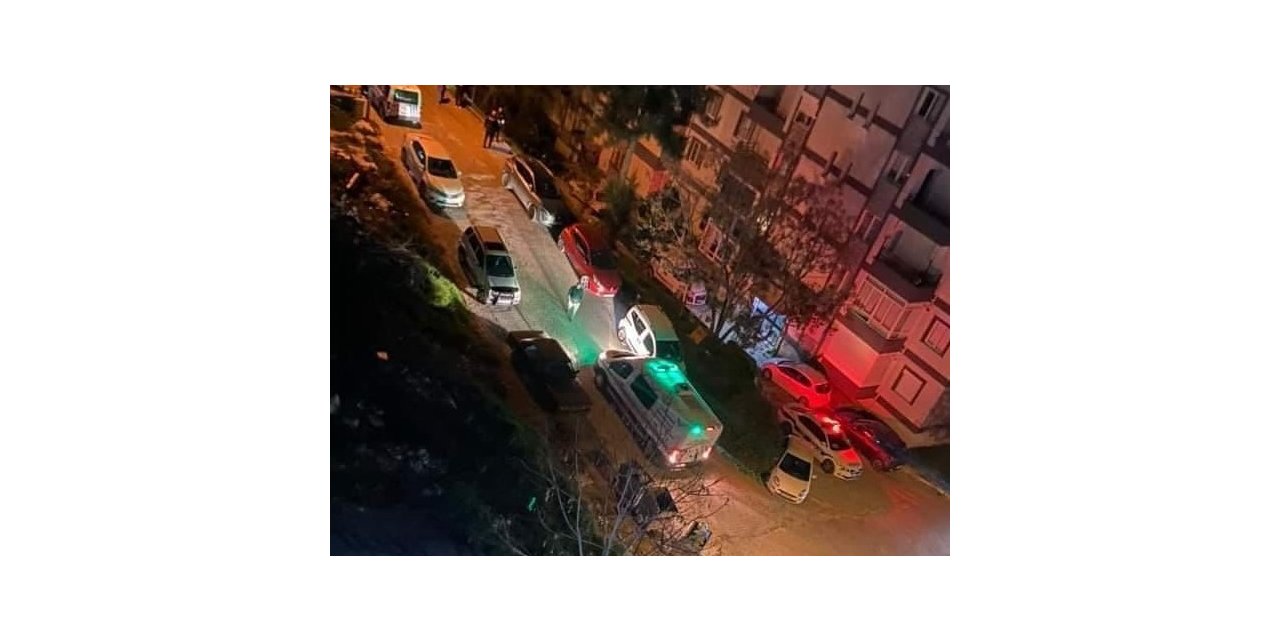 Dayısını bıçaklayıp öldürdü