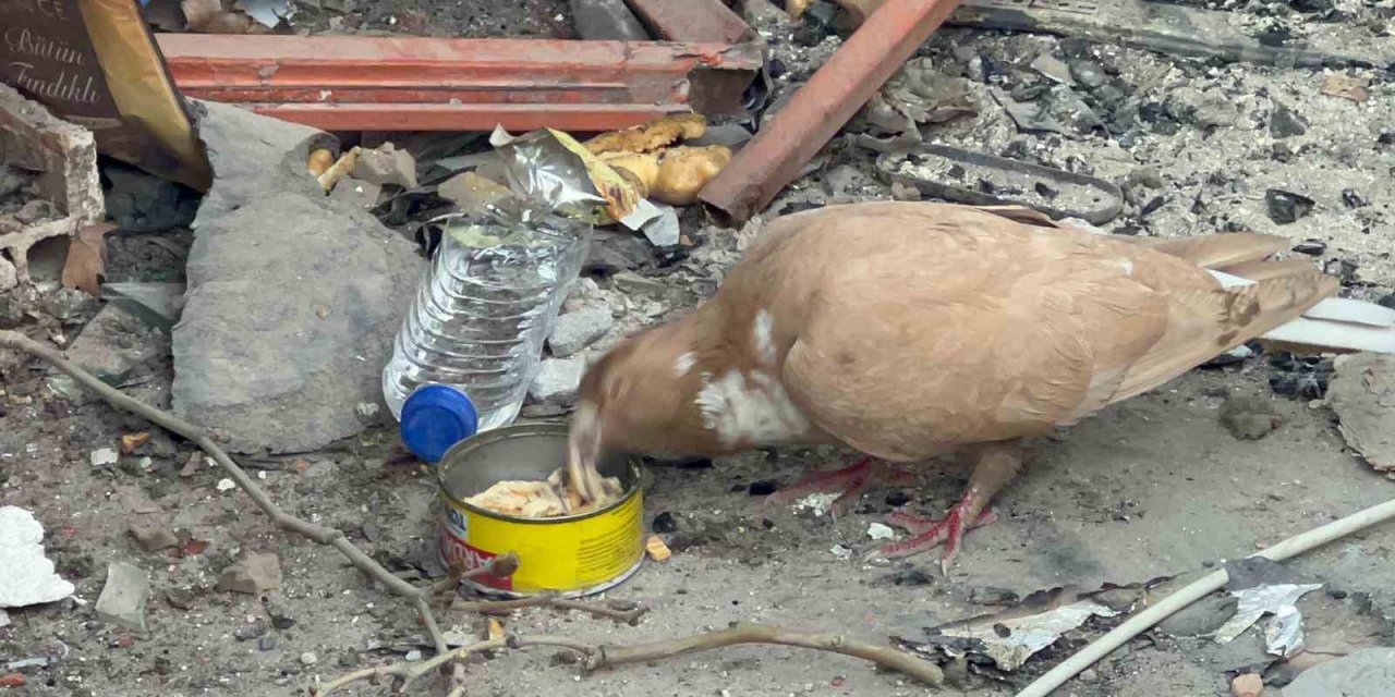 Deprem bölgesi Hatay’da Türk askerinin şefkati yürekleri ısıttı