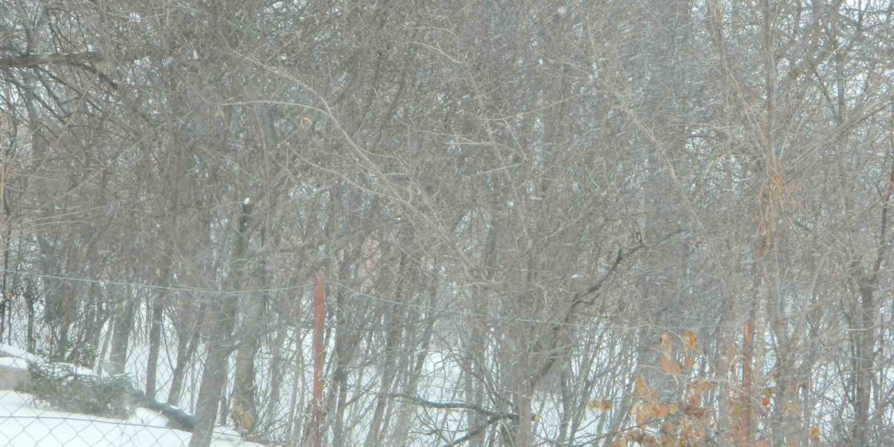 Posof’ta tipi etkili oldu