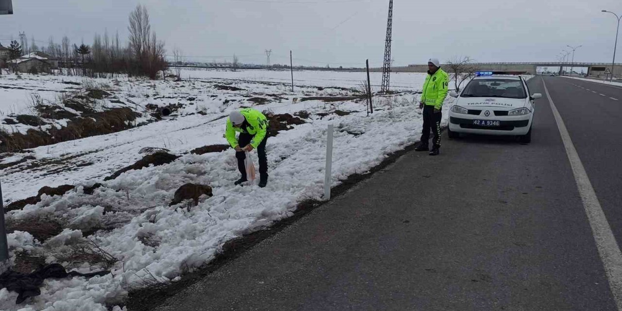 Yol kenarındaki yavru köpeklere polis şefkati